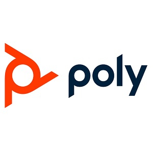 Hp - Poly Video (nj)             Poly R30/usb Brc                                                        875l4aa