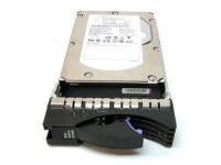 42D0410-RFB IBM 300Gb FC 4Gbps 15K E-DDM H **Refurbished** - eet01