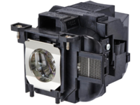 MicroLamp Projector Lamp for Epson 5000 Hours, 215 Watt ML12513 - eet01
