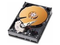 CoreParts For Acer Power F1 Series 40GB 3,5" IDE 7200rpm MUXMS-00077 - eet01