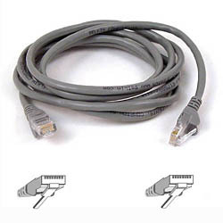 Belkin Ethernet Cable Grey 1m A3l791b01m-s - WC01