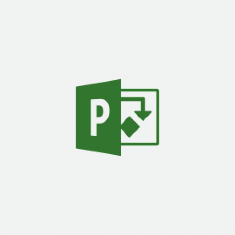 Project Pro 2019 Win English H30-05763 - WC01