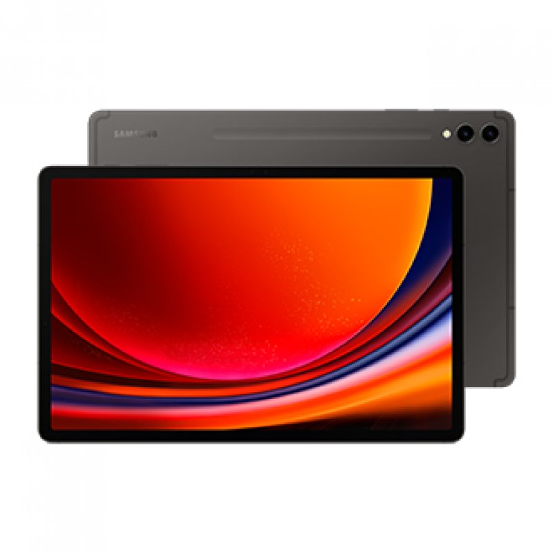 Galaxy Tab S9+ Grey 5g (512gb) Sm-x816bzaeeub - WC01