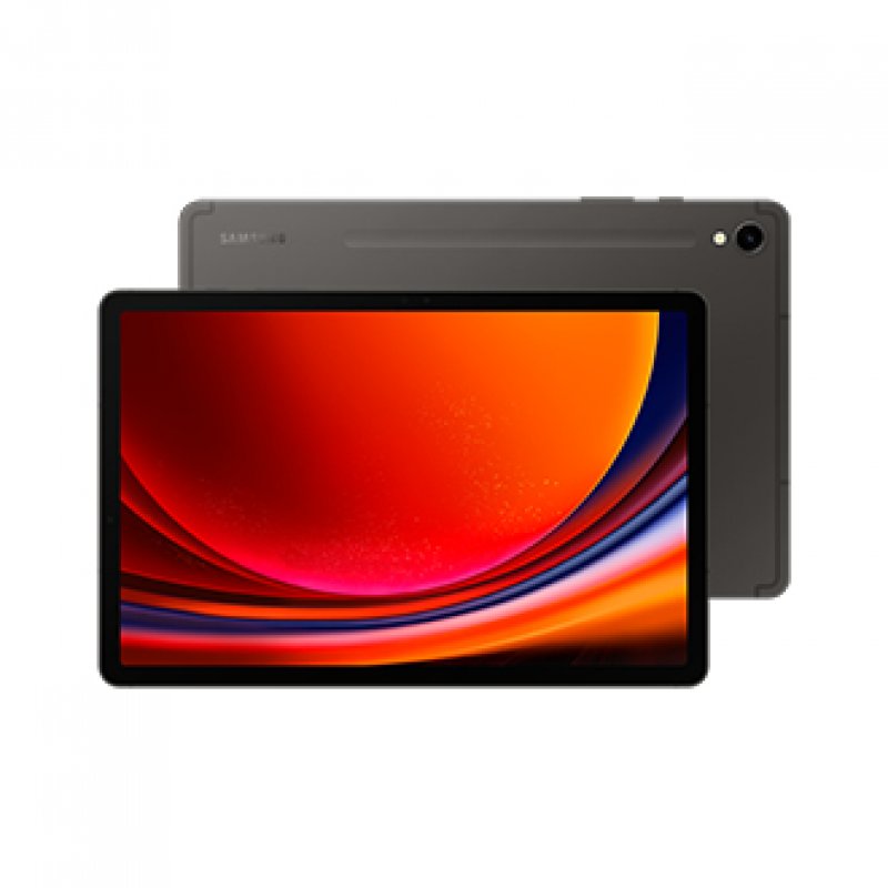 Galaxy Tab S9 Wifi 128gb Grey Sm-x710nzaaeub - WC01
