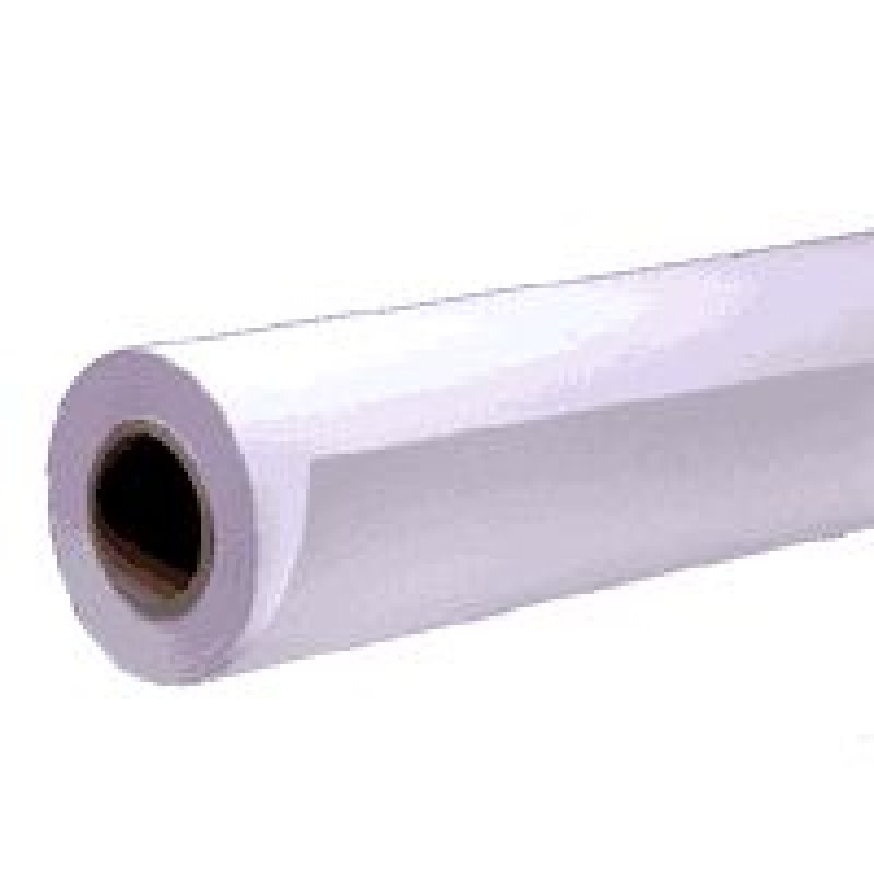 Single Weight Matte Paper 17 X 40m C13s041746 - WC01