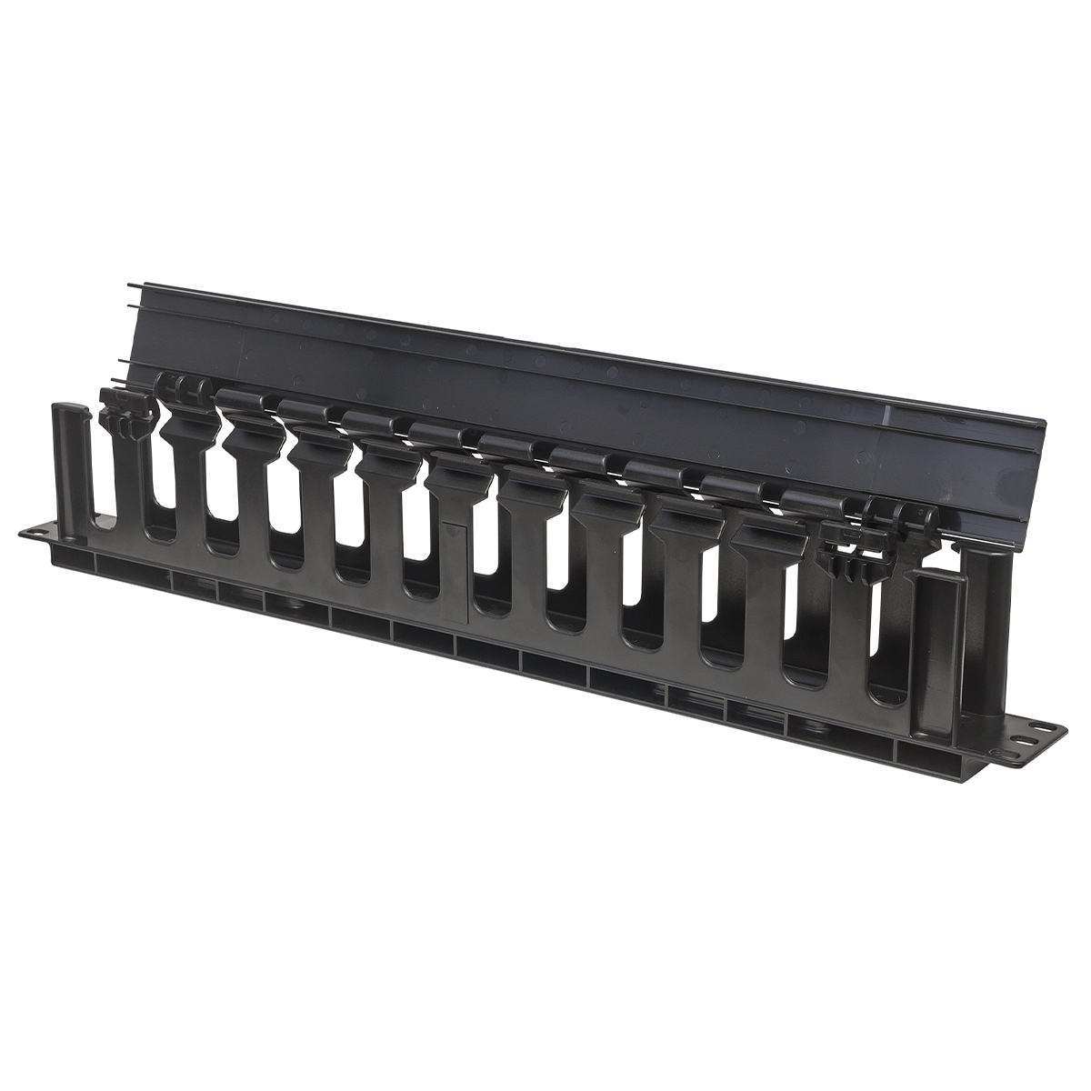 Intellinet                       19in Cable Management Panel 1u-     With Cover Black                    714679