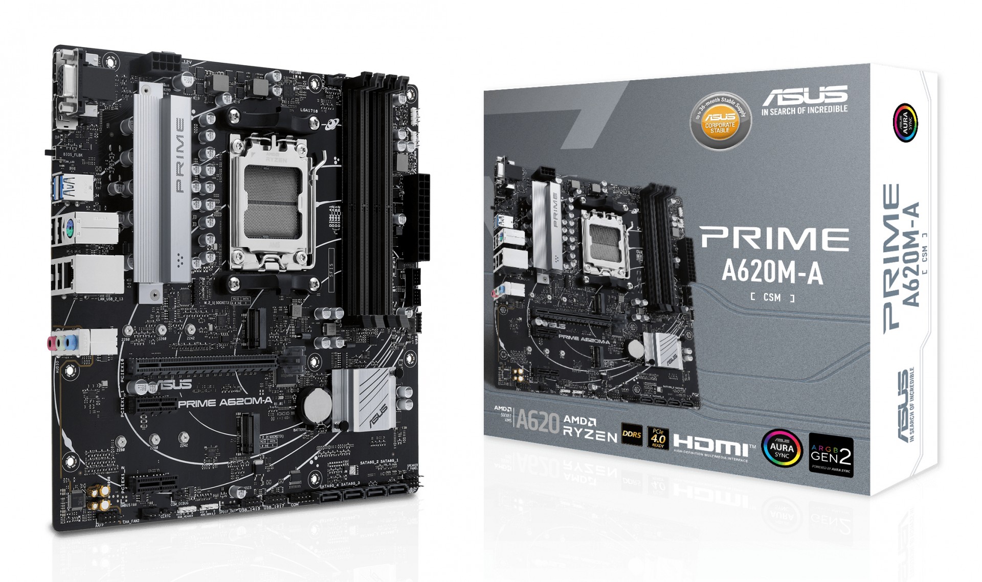 ASUS PRIME A620M-A-CSM - Motherboard - Micro ATX - Socket AM5 - AMD A620 Chipset - USB-C 3.2 Gen 1, USB 3.2 Gen 1 - Gigabit LAN - Onboard Graphics (CPU Required) - HD Audio (8-channel) 90MB1F - C2000