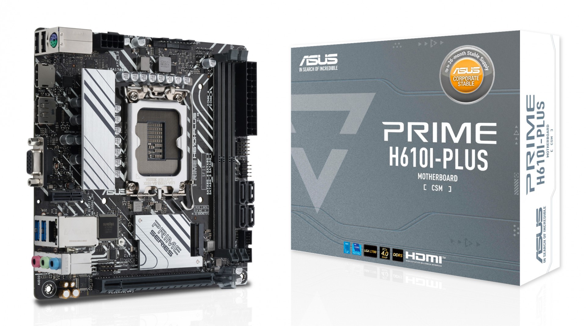 PRIME H610I-PLUS-CSM 90MB1GB0-M0EAYC - C2000